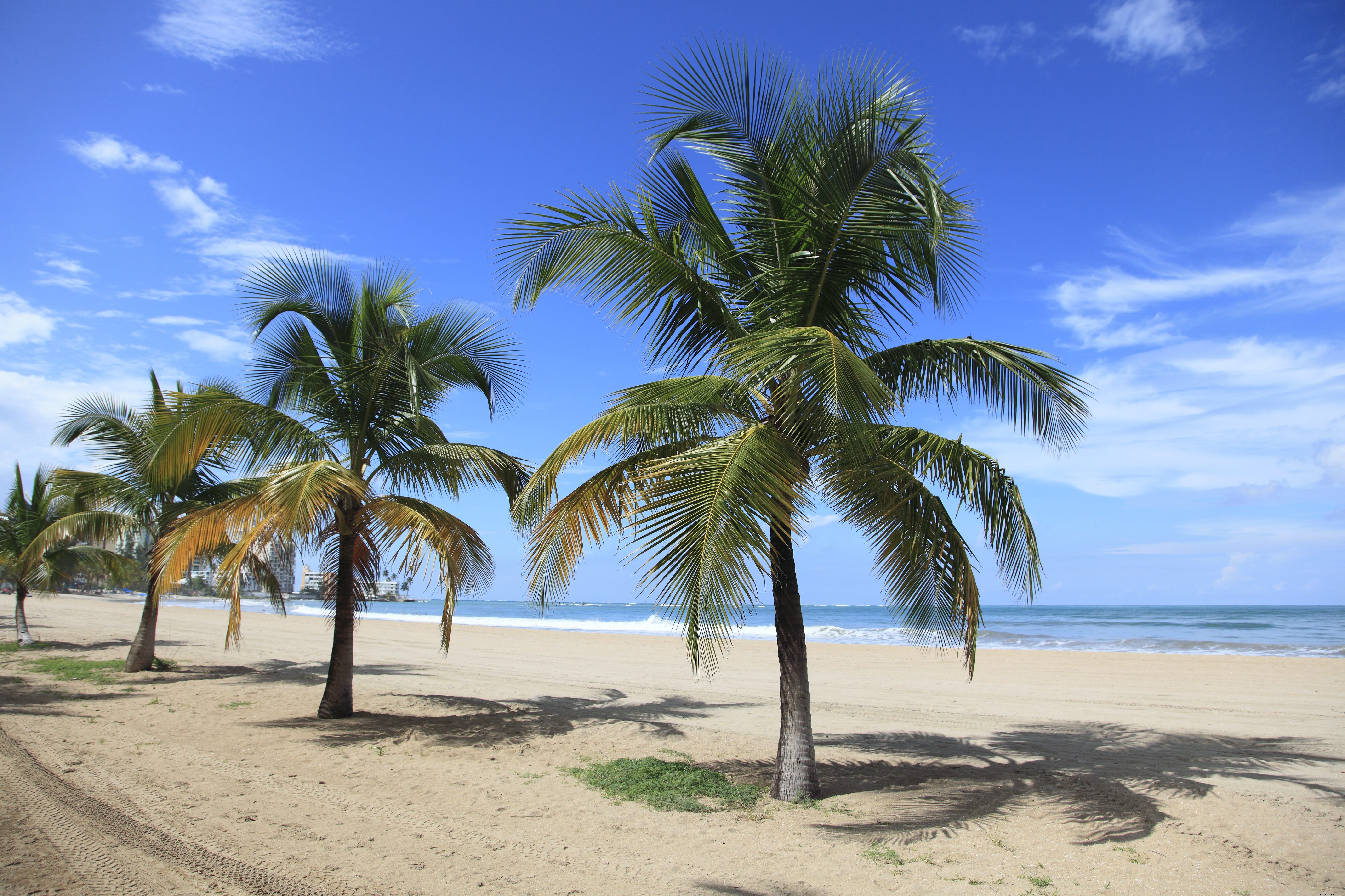 Playa Isla Verde – la Copacabana de Porto Rico